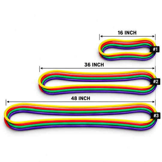Ab-Ribbon & BANDSQUID Large, XL Bundle